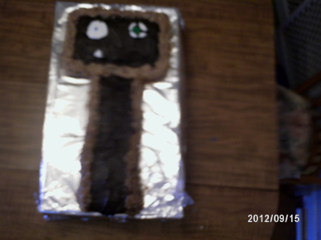 Nathan's 13th Birthday -- 2012