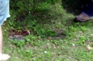 Wet ground around the meter plate after the water was shut off.