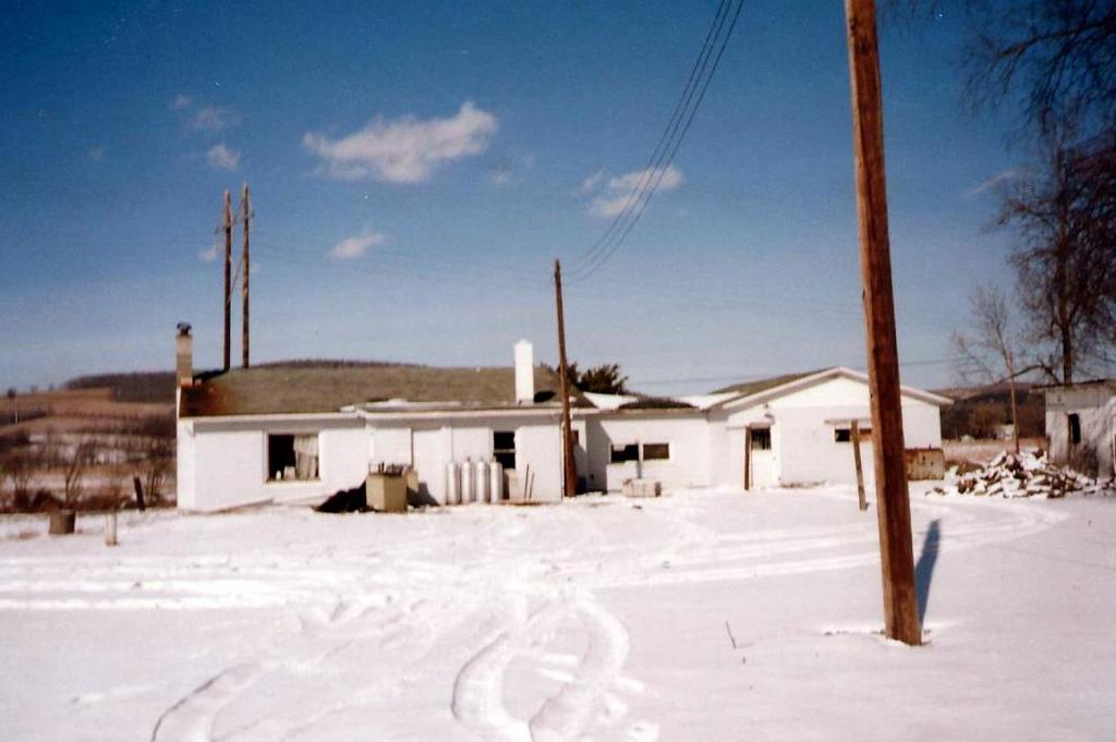Back view of house. To right is the back of the garage where I grew all those tomatoes that summer.